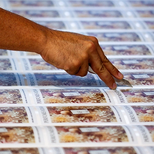 Vinilos Gran Canaria vinilos adhesivos en Las Palmas.